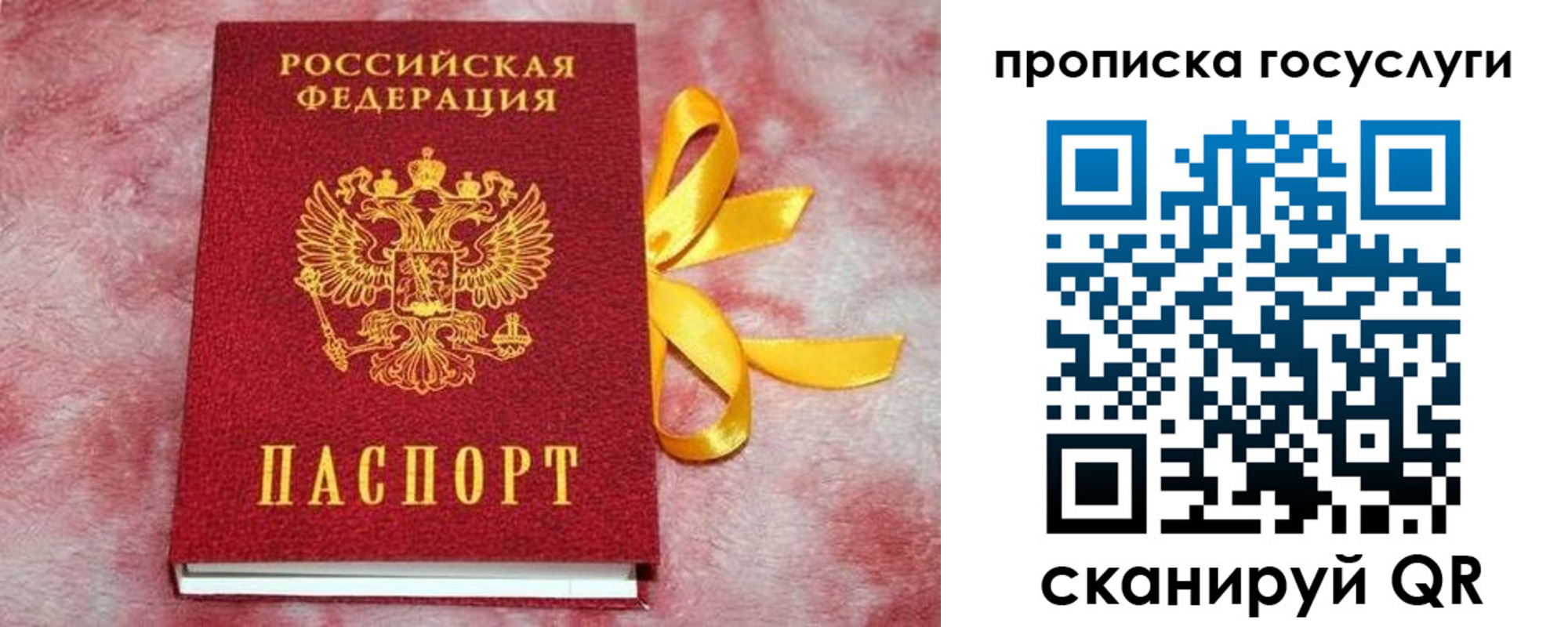 регистрация в Вологодской области